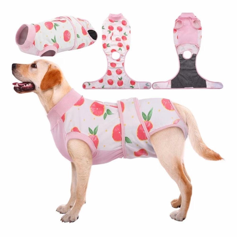 Dog recovery suit for surgery. Washable. Lg.
